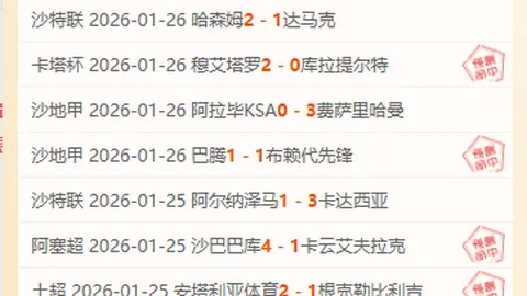 “费迪南德：曼联B费缺席，球队宛如英冠水准”